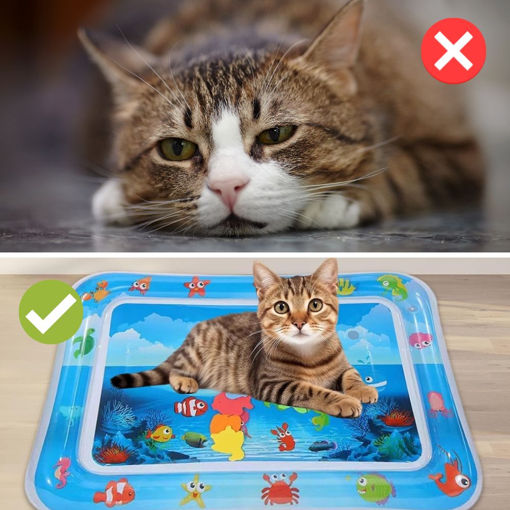 CoolNest™ | Summer Water Mat for Pets